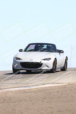 media/Jul-26-2025-Speed Ventures (Sat) [[fe569e6cf0]]/Purple Group/Grapevine/